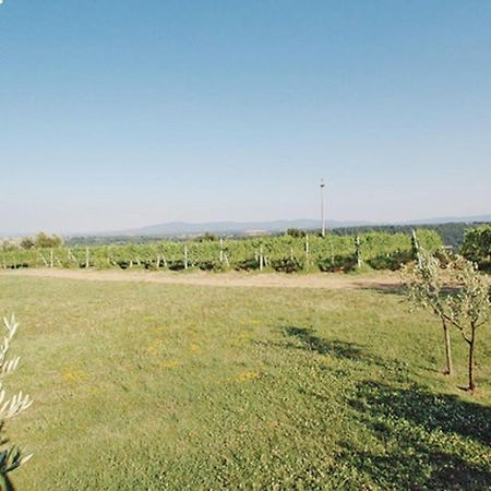 Agriturismo Fattoria Il Piano - Appartamento Aia - Сан-Джиминьяно Экстерьер фото