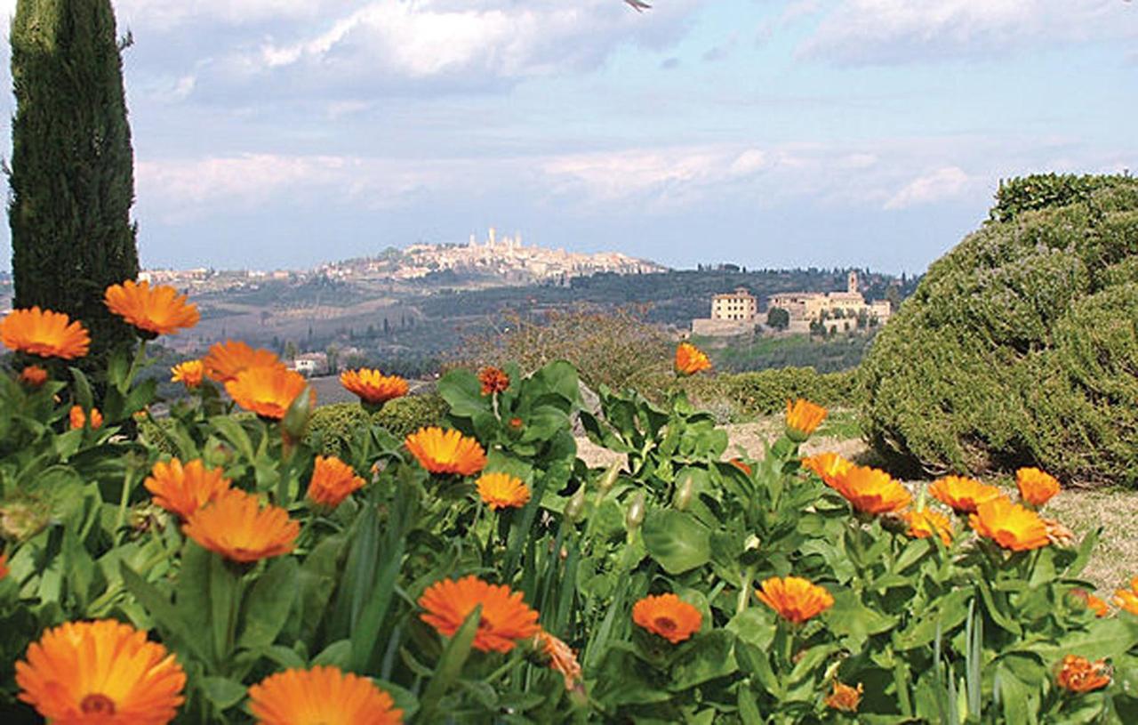 Agriturismo Fattoria Il Piano - Appartamento Aia - Сан-Джиминьяно Экстерьер фото